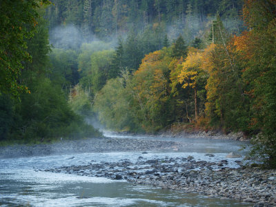 Elwha River Autumn
