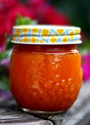 Apricot Jam