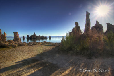 Mono Lake   (California)