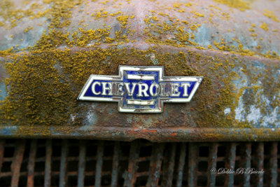Chevy badge