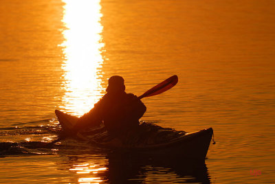 Afton paddling