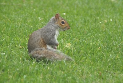 DSC_0123.JPG