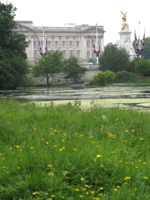 St James Park, London IMG_0957.JPG