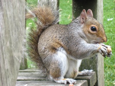IMG_0968.JPG