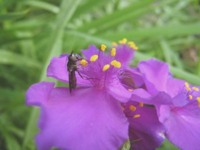 IMG_0524.JPG