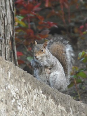 DSC_0013.JPG