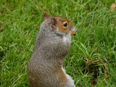 DSC_0135.JPG