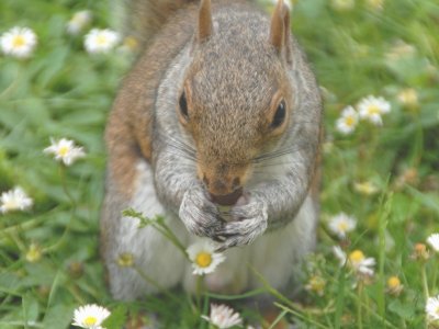 DSC_0143.JPG