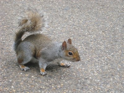 IMG_0930.JPG