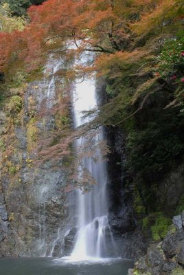 Red foliiage in Kyoto & Osaka京都大阪紅葉旅