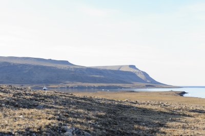g5/35/826635/3/118817936.qLysFs9y.jpg