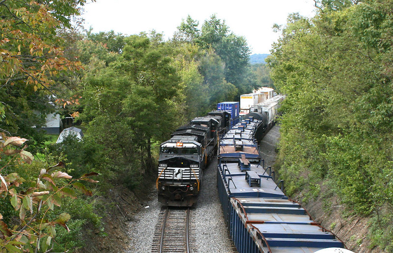 NS 223 at West Waddy 
