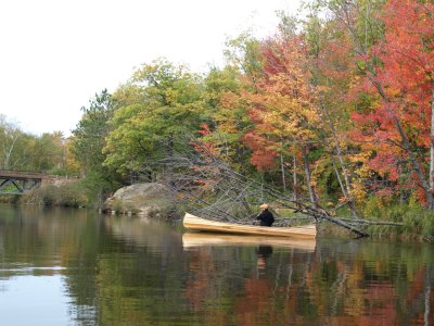 A Quiet Morning On The Dead River