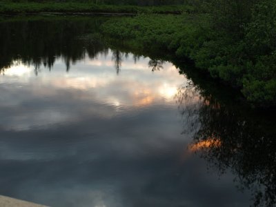 Spur River Reflection
