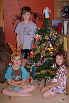 The children putting up the Christmas tree
