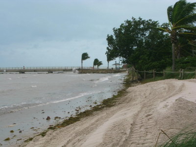 g5/35/858835/3/119225444.JSgRupaP.jpg