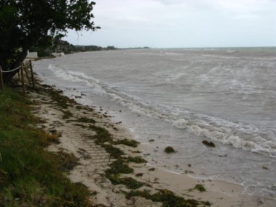 g5/35/858835/3/119249828.FMmZpa11.jpg
