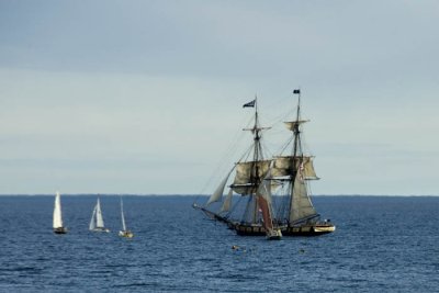 Tall Ships