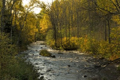 Autumn 2008