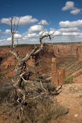 Canyon De Chelly and Window Rock