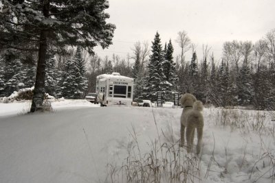 Winter 2008-2009