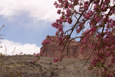 Capitol Reef National Park