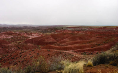 Petrified Forest National Park