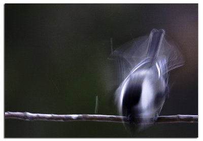 4th - Time to fly! by Sam Attal