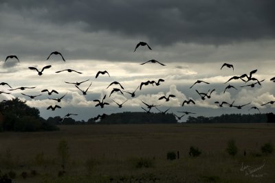 Late In A Fall Day