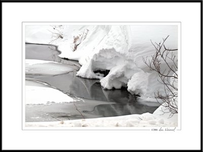 Reflections In A Mountain Stream