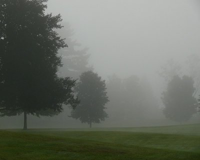 Morning Fog