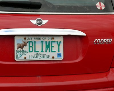 Auto Tag - BLIMEY
