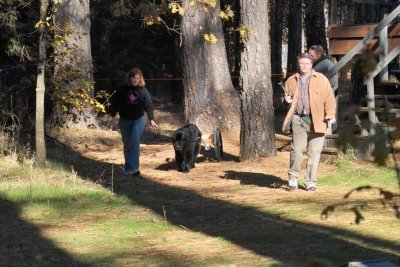 IMG16615.jpg