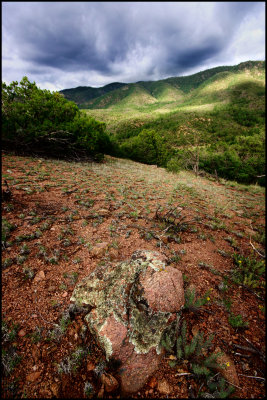 Santa Fe National Forest