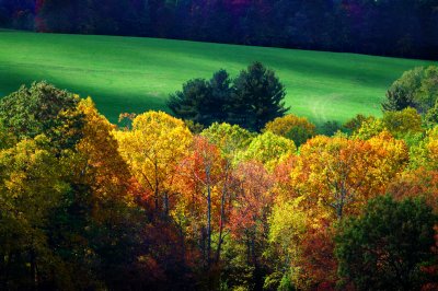 Blue Ridge Parkway