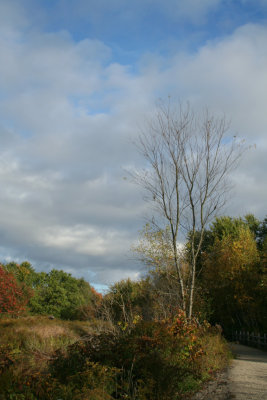 g5/36/495936/3/68363017.tBQK664a.jpg