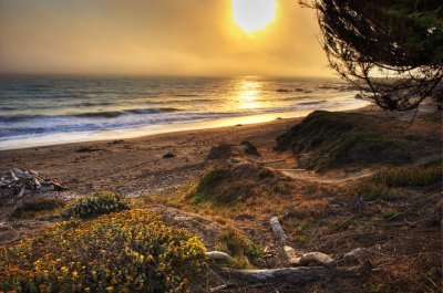 D3A_8806Cambria1_1_2_3_4_5_tonemapped.jpg