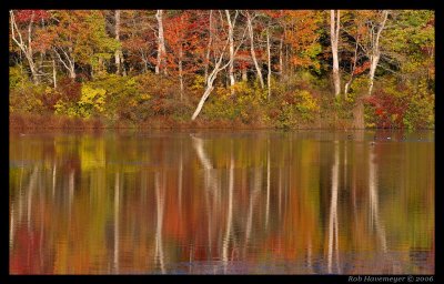 _MG_6760.jpg