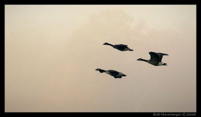 _MG_6873.jpg