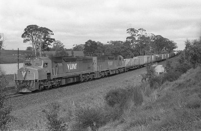 Bungaree Loop