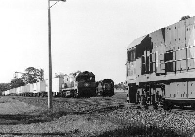 Busy Dimboola Loop