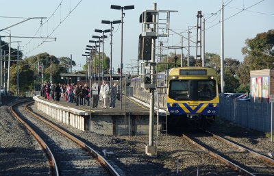 Lalor Morning Peak