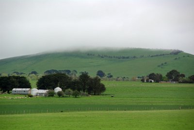 Green Misty Hill