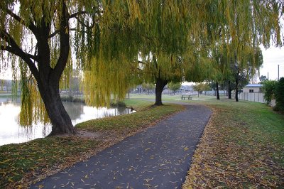 Autumn Scene