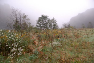 DSC_1108.jpg