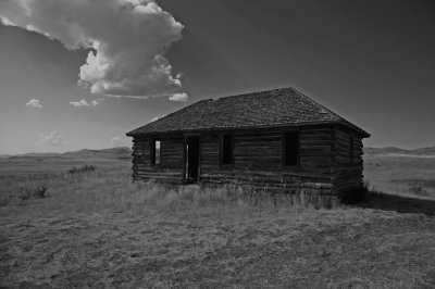 AD6T0085 pp bw.jpg