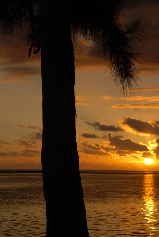 DSC_2884.JPG