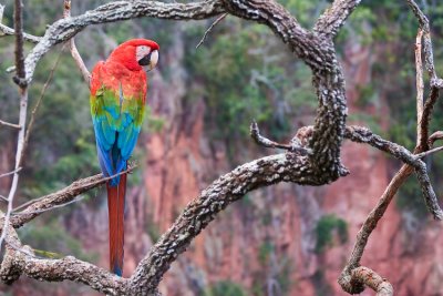Bonito Iguau-55.jpg
