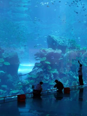 Cleaning Dubai Mall Aquarium.jpg