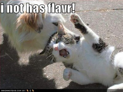 funny-dog-pictures-cat-not-flavor.jpg